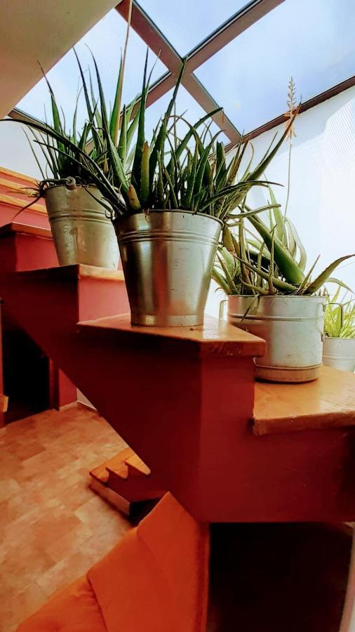 Zelena Kuca- Green House Ližnjan Buitenkant foto